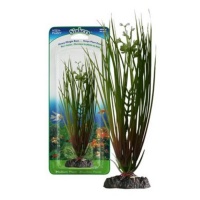 Penn-Plax Hairgrass Растение Элеохарис с грузом, зеленое