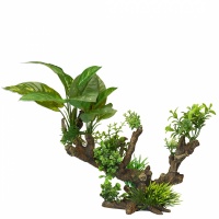 AQUA DELLA Растение для аквариумов "Florascape 5", 33,5х16х27,5см