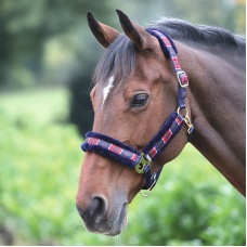 SHIRES Недоуздок для лошади "Polo", COB, красный-синий
