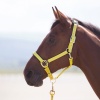 SHIRES Недоуздок "Topaz", желтый