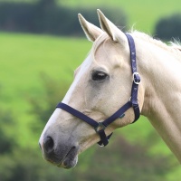 SHIRES Недоуздок "Wessex", COB, синий