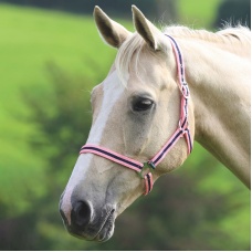 SHIRES Недоуздок "Wessex", FULL, Розовый-синий