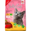 Зоогурман Jolly Сat сухой корм для кошек из Курицы и индейки